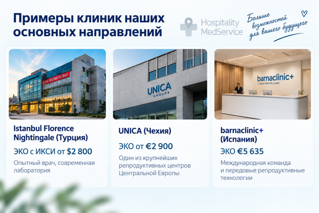 Клиники для ЭКО за рубежом: Istanbul Florence Nightingale в Турции, UNICA в Чехии и Barnaclínic+ в Испании